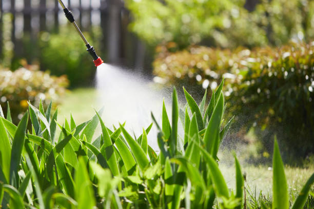 Tamper-Resistant Bait Stations for Rodents in Middleville