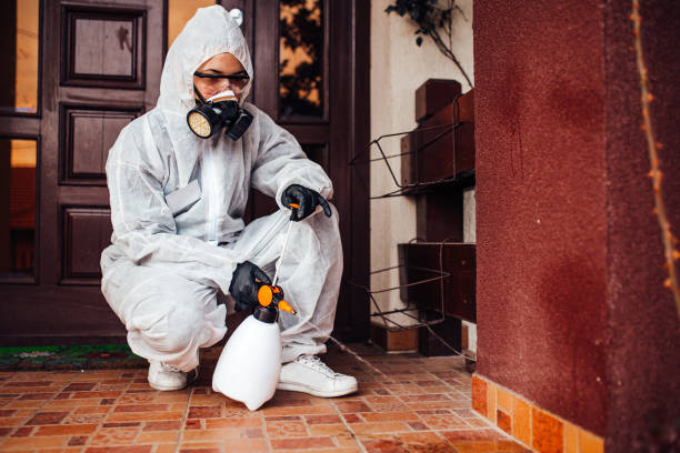 Attic and Crawl Space Rodent Treatment in Middleville