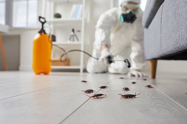 Commercial Rodent Management in Middleville